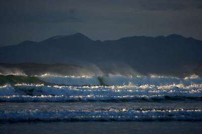 Roaring Ocean