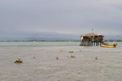 Pelican Bar is planted on a sandy reef about half a mile offshore