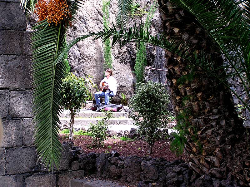 Lone Guitarist.JPG