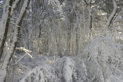 slt_benson brook_146.jpg