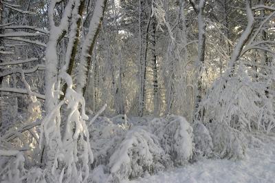 slt_benson brook_147.jpg