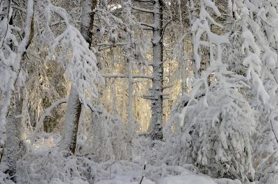 slt_benson brook_152.jpg
