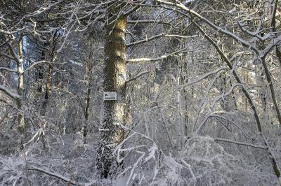slt_benson brook_156.jpg