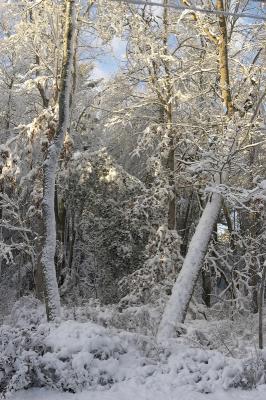 slt_benson brook_159.jpg