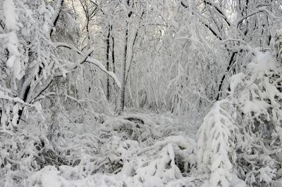 slt_benson brook_160.jpg