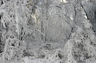 slt_benson brook_164.jpg