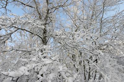 slt_benson brook_165.jpg