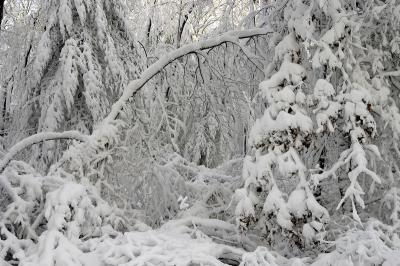 slt_benson brook_169.jpg