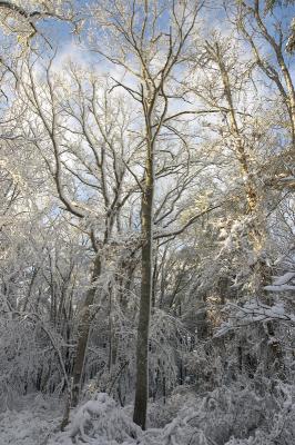slt_benson brook_173.jpg