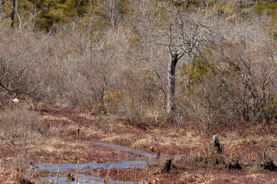 slt_oldrrtrail_118.jpg