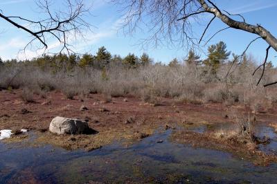 slt_oldrrtrail_207.jpg