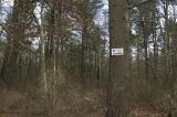 slt_bensonbrk_060.jpg