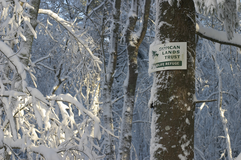 slt_benson brook_138.jpg
