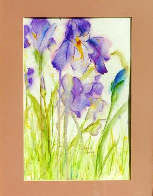 watercolor iris.jpg