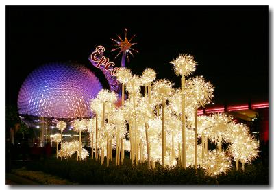 wdw Christmas 04