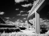 Walt Disney World infrared 3