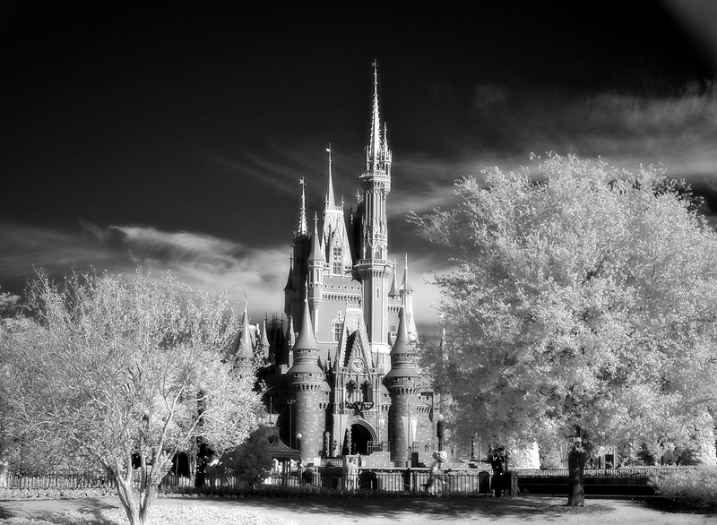 Walt Disney World infrared 1
