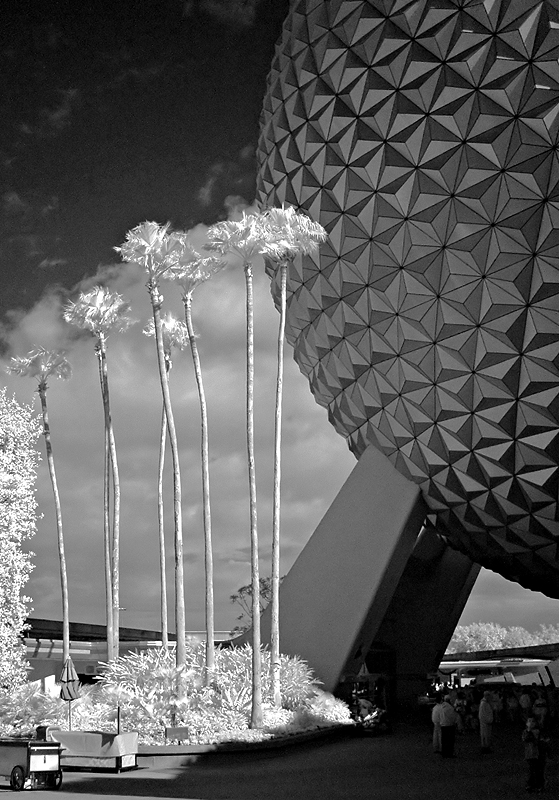 Walt Disney World infrared 7