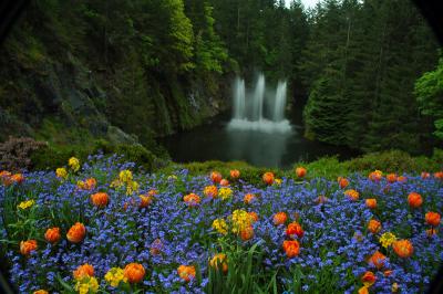 8 Butchart Gardens, Victoria B.C.