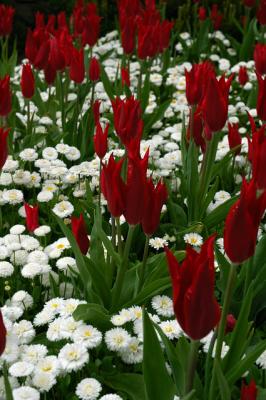 10 Butchart Gardens, Victoria B.C.