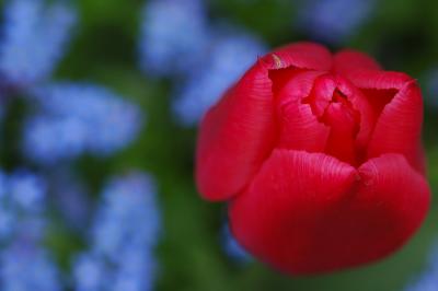 18 Butchart Gardens, Victoria B.C.