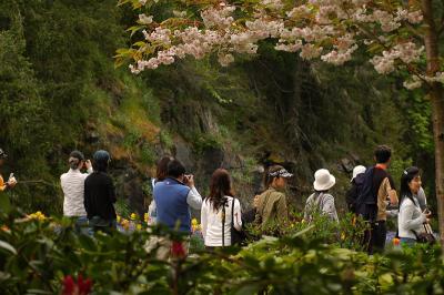 36 Butchart Gardens, Victoria B.C.