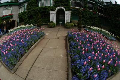 58 Butchart Gardens, Victoria B.C.