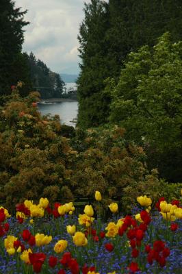 59  Butchart Gardens, Victoria B.C.