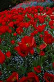 13 Butchart Gardens, Victoria B.C.