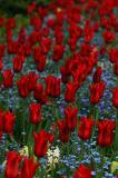 38b Butchart Gardens, Victoria B.C.