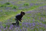 Girl Picking Flowers - 14