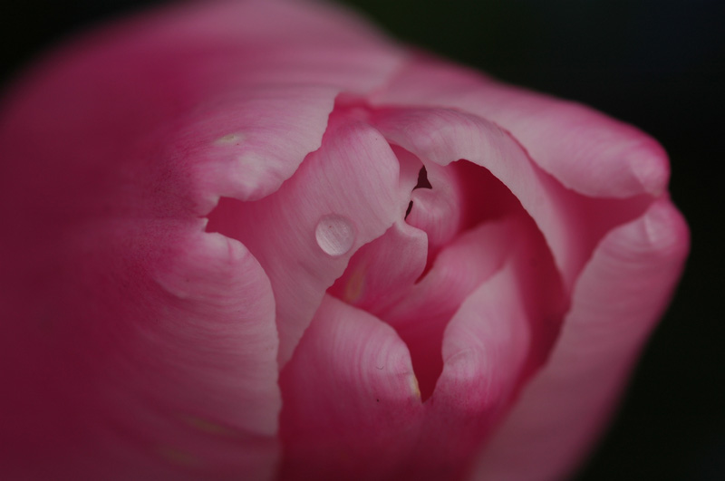 20 Butchart Gardens, Victoria B.C.