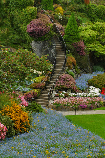 41 Butchart Gardens, Victoria B.C.