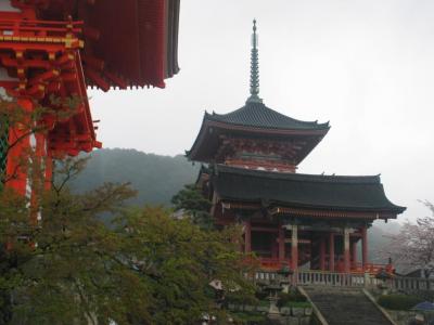 IMG_2646.jpg