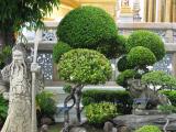IMG_2286_RJ.jpg