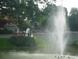 IMG_2387.jpg