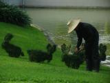 IMG_2390.jpg