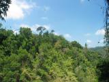 IMG_2583.jpg