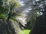 IMG_2731.jpg