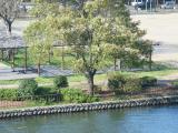 IMG_2762.jpg