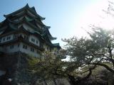 IMG_2776_RJ.jpg