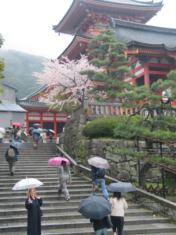 IMG_2652.jpg