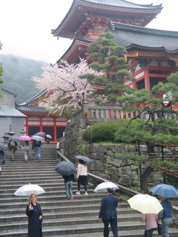 IMG_2653.jpg