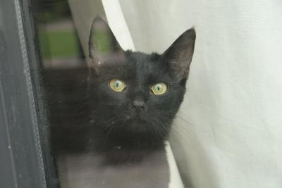 Gina