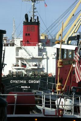 u11/cernynh/medium/38023006.px04cynthiacrownceressternM275672xlg.jpg