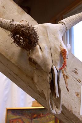 Cow Skull on Timber