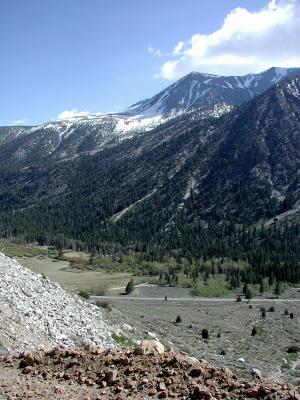 View from a shoulderless road