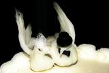 Cake Topper