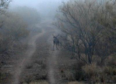 Walking Away -- Cropped