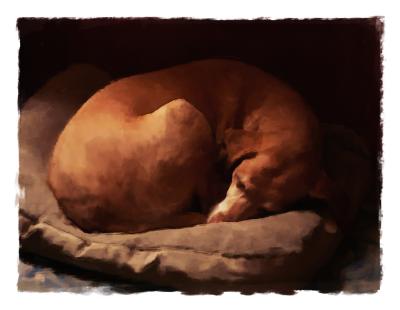 Curled-in-Sleep.jpg